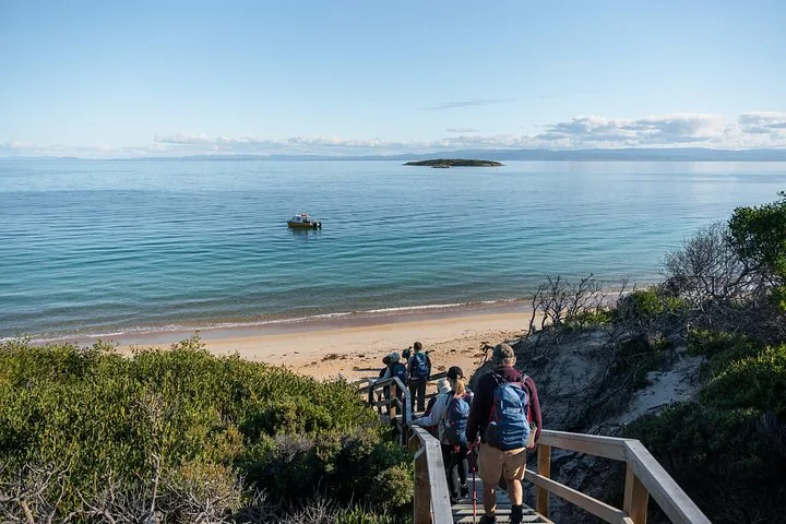 Group of hikers descending wooden stairs towards a beach and a boat.